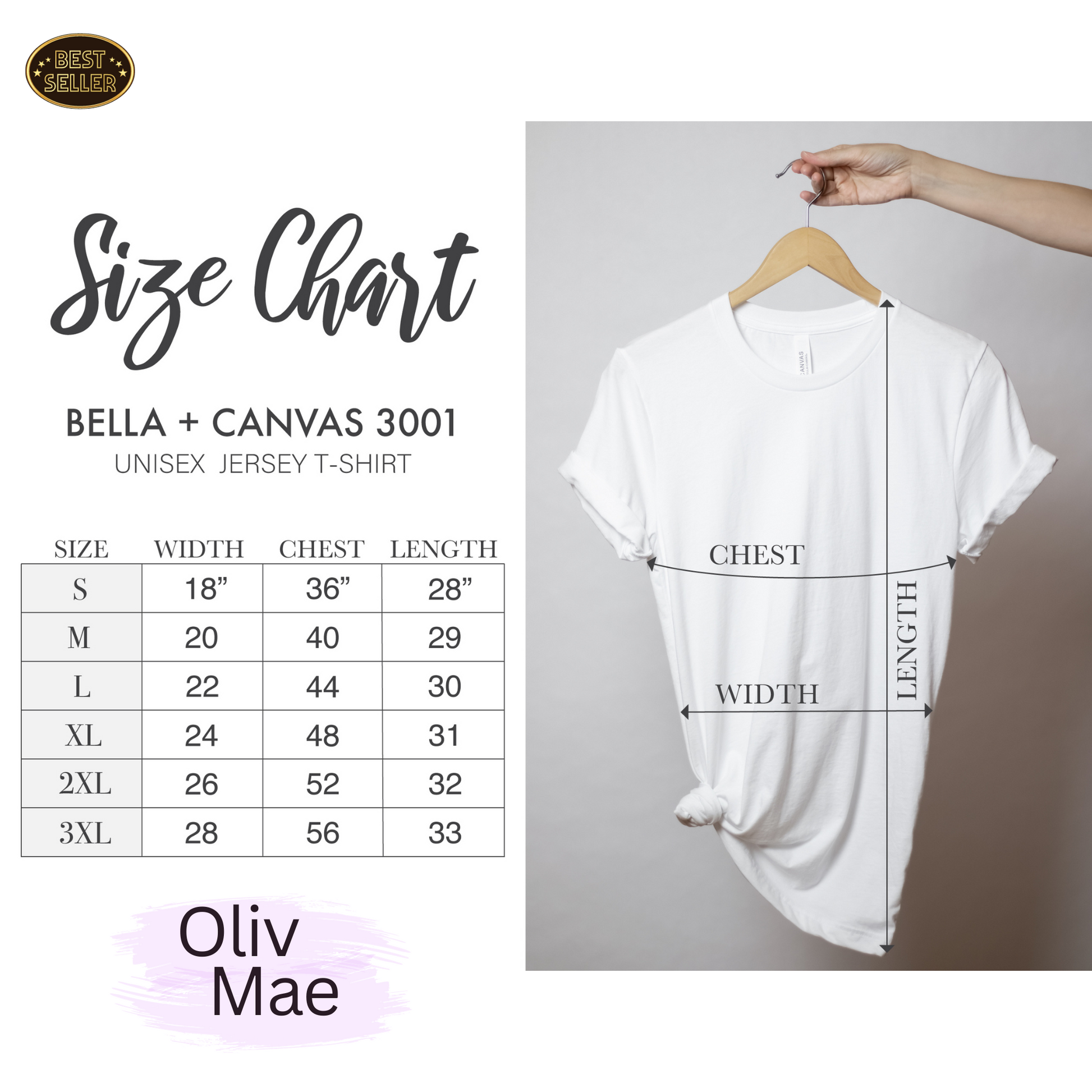 Bella + Canvas 3001 Size Chart